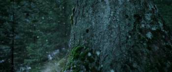 Screenshot 1 from Minuscule 2: Mandibles from Far Away (Full Movie)