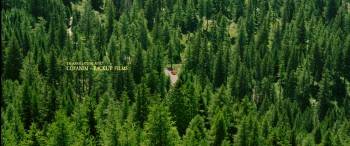 Screenshot 1 from Minuscule: Valley of the Lost Ants (Full Movie)