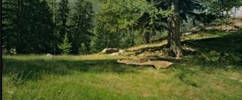 Screenshot 3 from Minuscule: Valley of the Lost Ants (Full Movie)