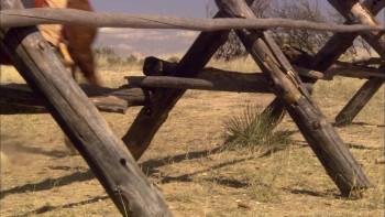 Screenshot 1 from Miracle at Sage Creek (Full Movie)