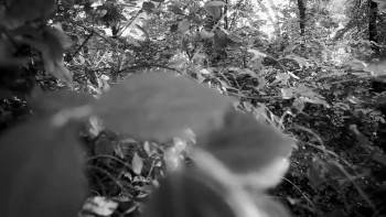 Screenshot 2 from Miss Futuro (Full Movie)