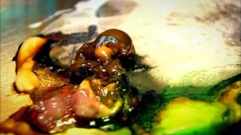 Screenshot 2 from Miss Plastic - A szikék szépe (Full Movie)