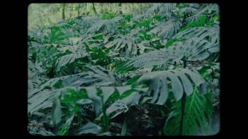 Screenshot 3 from Mon Laferte, te amo (Full Movie)