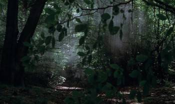 Screenshot 1 from Monty Python and the Holy Grail (Full Movie)