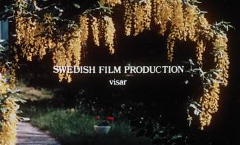 Screenshot 1 from More About the Language of Love (Full Movie)