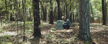 Screenshot 1 from Moss (Full Movie)