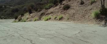 Screenshot 1 from Most Likely to Die (Full Movie)