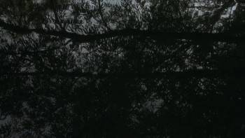 Screenshot 1 from Mrs. Henderson Presents (Full Movie)