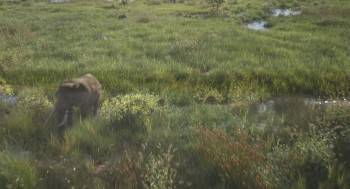 Screenshot 3 from Mufasa: The Lion King (Full Movie)