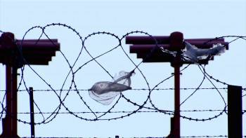 Screenshot 1 from Mum & Dad (Full Movie)