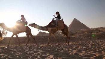 Screenshot 3 from Mummy Shark (Full Movie)
