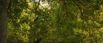 Screenshot 1 from Müsaadenizle Büyükler (Full Movie)