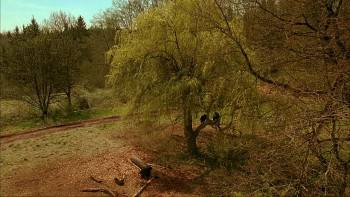 Screenshot 1 from MXP: Most Xtreme Primate (Full Movie)