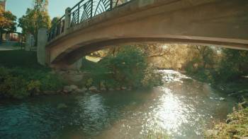 Screenshot 3 from My Boss' Wedding (Full Movie)