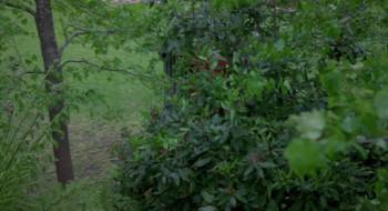 Screenshot 1 from Napoleon (Full Movie)