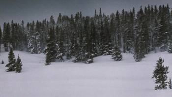 Screenshot 1 from National Lampoon's Christmas Vacation (Full Movie)