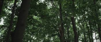 Screenshot 1 from Natural Selection (Full Movie)