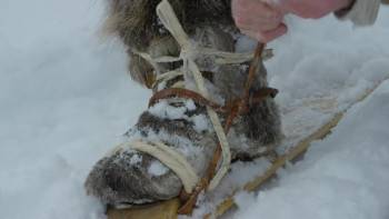 Screenshot 3 from Nature Wild Way of the Vikings (Full Movie)