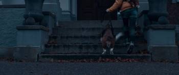 Screenshot 2 from Nelly Rapp: Monster Agent (Full Movie)