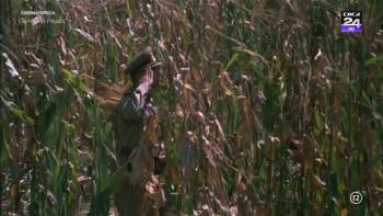 Screenshot 1 from Next Stop Paradise (Full Movie)