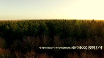 Screenshot 2 from Night of the Falling Stars (Full Movie)