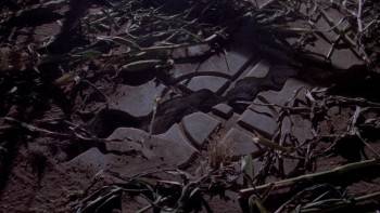 Screenshot 1 from Night of the Scarecrow (Full Movie)