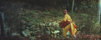 Screenshot 1 from Ninja vs. Shaolin (Full Movie)
