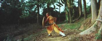 Screenshot 2 from Ninja vs. Shaolin (Full Movie)