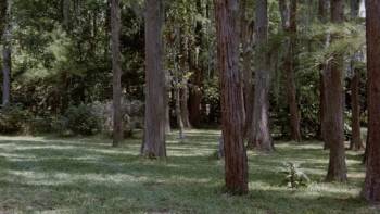 Screenshot 1 from No Retreat, No Surrender 3: Blood Brothers (Full Movie)