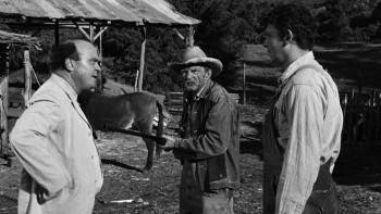 Screenshot 2 from No Time for Sergeants (Full Movie)