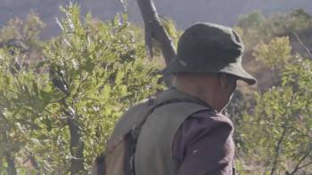 Screenshot 2 from Nosema (Full Movie)