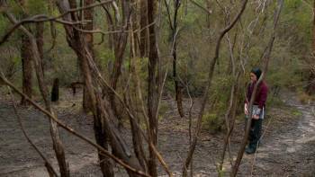 Screenshot 1 from Nowhere Boys: The Book of Shadows (Full Movie)
