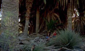 Screenshot 3 from Oasis of the Zombies (Full Movie)