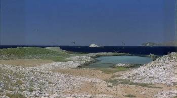 Screenshot 3 from Ocean Oasis (Full Movie)