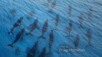 Screenshot 3 from Ocean Souls (Full Movie)