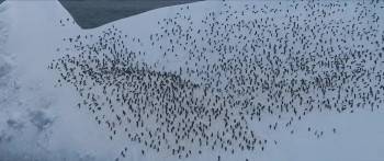 Screenshot 2 from Ocean with David Attenborough (Full Movie)
