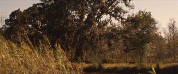 Screenshot 1 from Off Ramp (Full Movie)