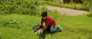 Screenshot 1 from Oh My Dog (Full Movie)