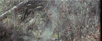 Screenshot 1 from Onna jigoku: Mori wa nureta (Full Movie)