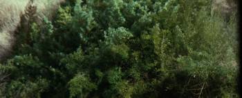Screenshot 3 from Onna jigoku: Mori wa nureta (Full Movie)