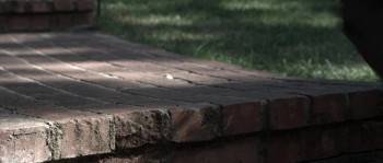 Screenshot 3 from Open House (Full Movie)