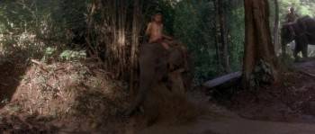 Screenshot 2 from Operation Dumbo Drop (Full Movie)