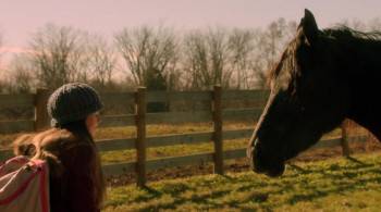 Screenshot 2 from Orphan Horse (Full Movie)