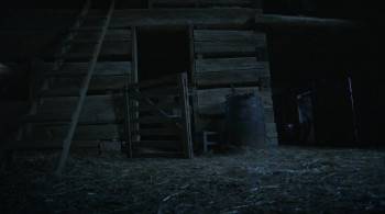 Screenshot 3 from Orphan Horse (Full Movie)