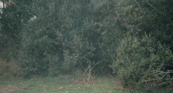 Screenshot 1 from OSS 117 Murder for Sale (Full Movie)