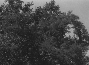 Screenshot 2 from Our Mr. Foerster Died (Full Movie)