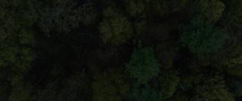 Screenshot 3 from Out Come the Wolves (Full Movie)