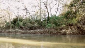 Screenshot 1 from Ozark Sharks (Full Movie)