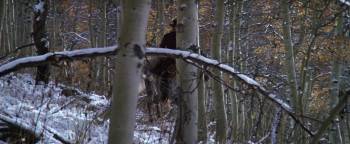 Screenshot 2 from Pale Rider (Full Movie)