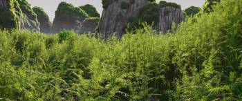 Screenshot 1 from Panda Bear in Africa (Full Movie)